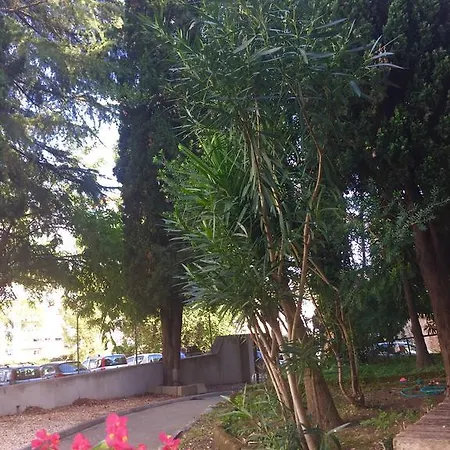 罗马旅馆